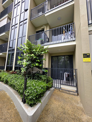 Sengkang Grand Residences (D19), Apartment #527638701